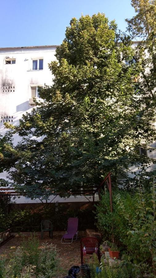 Casa Cu Tei Apartamento Cluj-Napoca Exterior foto