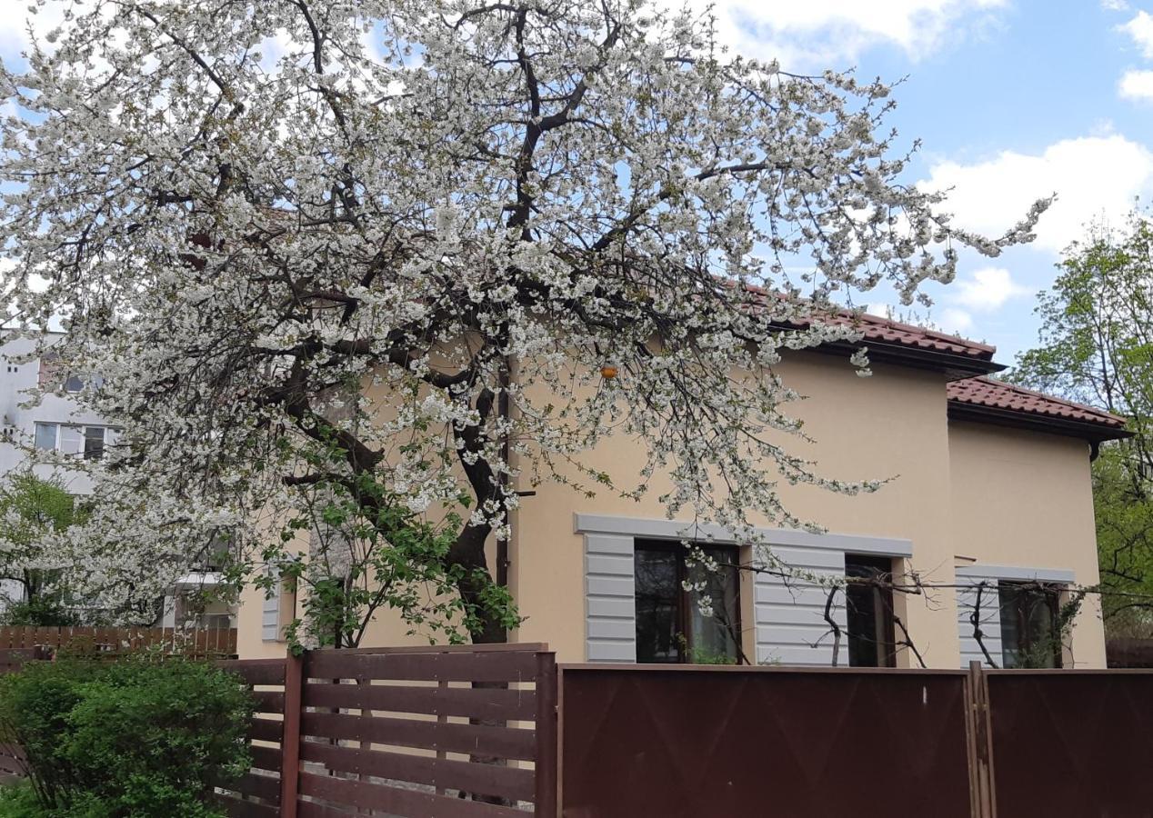 Casa Cu Tei Apartamento Cluj-Napoca Exterior foto